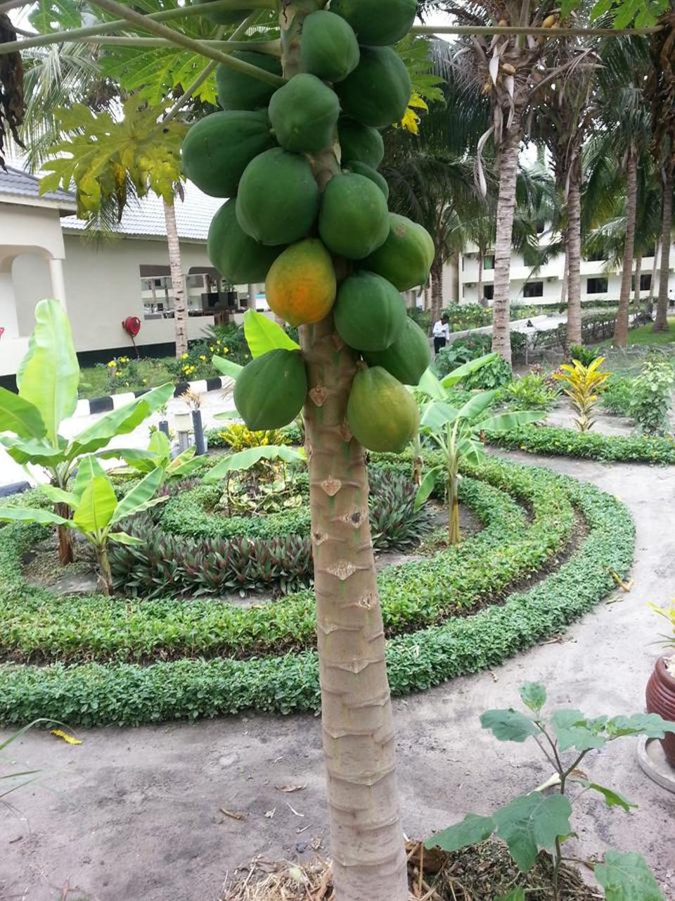 Oceanic Bay Hotel & Resort Bagamoyo Eksteriør bilde